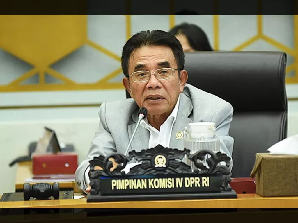 Banjir & Kayu Misterius Viral: DPR dan Kemenhut Siap Ungkap Fakta di Rapat Panas!